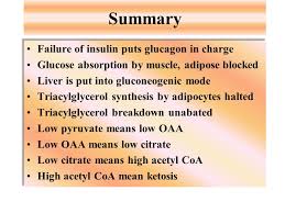 Hypoglycemia can occur as a side effect of some diabetes medications, including insulin and oral diabetes medications—pills—that increase insulin others believe deficiencies in glucagon secretion might lead to reactive hypoglycemia. Normal Metabolism Normal Metabolism 1 After A Meal Glucose Levels Rise Insulin Is Produced 2 Insulin Suppresses Glucagon Secretion 3 Insulin Stimulates Ppt Download