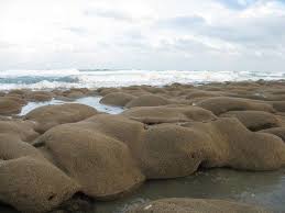 Where is bathtub beach in florida? Bathtub Beach In Stuart Fl Sleepy Little Beach Town I Loved It There Florida Beach House Florida Travel Florida Beaches