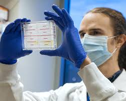 Newly Identified Antibody Can Be Targeted by HIV Vaccines