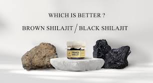 Image result for Shilajit
