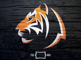Minimalist Tiger Tiger Art Art Logo Animal Logo