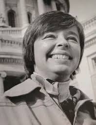 Wisconsin state senator stubs