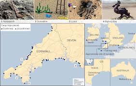 Cornwall surfing info and details. Mapped The Beaches Where Lego Washes Up Bbc News