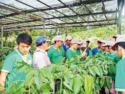 Jabatan ukur dan pemetaan malaysia (jupem) 15 februari details: 25 Belia Penan Jadi Pesawah Perintis Menyertai Program Latihan Pertanian