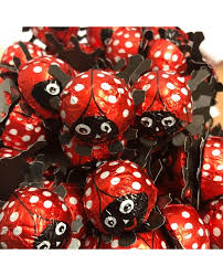 Uncompromisingly delicious ice cream made with the finest ingredients. Ladybug Ladybird Foil Wrapped Chocolates Pack Of 12