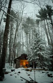 sugar cabin in the backwoods of bolton landing ツリーハウス アースハウス 冬の景色