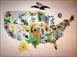 Us State Flower Map Flower Map Map Historical Art