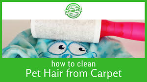 Carpet scrubbers work to clean a carpet by using cleaning agents designed to remove dirt from carpet fibers. How To Clean Pet Hair From Carpet Without Losing Your Sanity