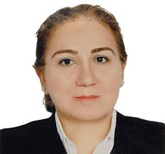 Canadian Lawyers and Regulated Immigration Consultants