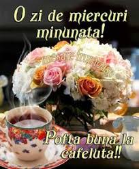 Ai o zi a saptamanii mai haioasa? 110 Miercuri Ideas Miercuri Plantare De Flori Zori De Zi