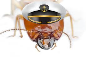 But the ground is really big, and, as the tick so sagely noted, gravity is a harsh mistress. Termites Can Infest Boats Terminix