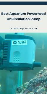 Best Aquarium Powerhead In 2020 Our Top Picks In 2020 Aquarium Saltwater Tank Fish Tank