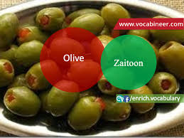 Picture Vocabulary Urdu Hindi To English Vocabulary Vegetables Vocabulary With Pict English Vocabulary English Language Learning Fruits And Vegetables Names
