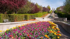 Thanksgiving brings the time when you want to set out for a cherished vacation with family and friends. Thanksgiving Point Tulip Festival Kutv