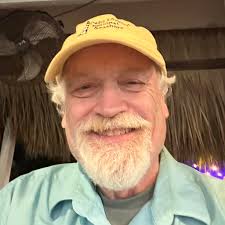 Wild Boars Spotted in the Area, Beware While Driving