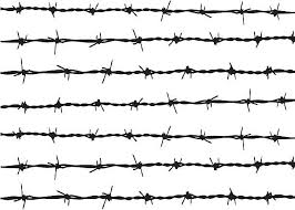 Pin By Berat Yahsi On Barbed Wire Barbed Wire Tattoos Barbed Wire Art Barbed Wire Drawing