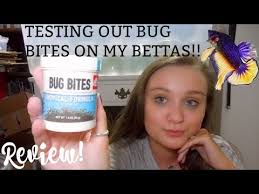 Both the fluval spec iii and spec v aquariums make great homes for betta fish, otherwise known as siamese fighting fish. Testing Out Bug Bites Food On My Betta Fish Review Itsannalouise Youtube