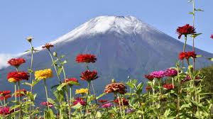 Mt Fuji Gets Season S 1st Snowcap 24 Days Earlier Than Last Year