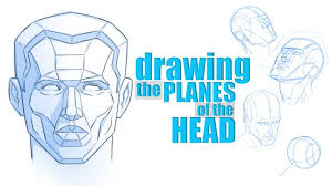 How to Draw the Planes of the Head