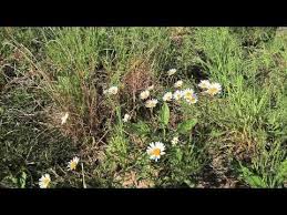 Videotuto Chasse A L Arc Une Ecole De Patience Chasse Ecole Patience Https Tutotube Fr Chasse Peche Chasse A Larc U Chasse Peche Chasse Arc De Chasse