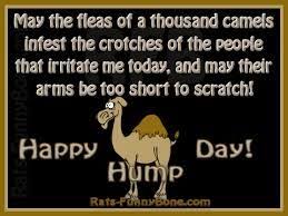 Hump Day Humor 8 7 2013 Hump Day Humor Hump Day Quotes Funny Quotes