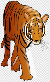 Download tiger logo png clipart clip art tiger face. Bengal Tiger Sumatran Tiger Cat Tiger Face Transparent Background Png Clipart Hiclipart