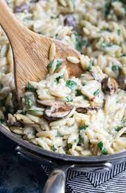 One Pot Orzo Pasta With Garlic Parmesan And Mushrooms Recipe Orzo Pasta Pasta Dishes Vegetarian Recipes