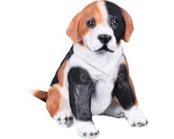 Image result for bígl