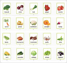 Us 14 95 15 Off 20pcs Set Teaching Aids Vegetable English Card Big Card A4 Poster Learn Education Kindergarten Kids Games Classroom Decoration On