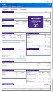 How to pay yourself ppp loan self employed. How To Get Salary Pay Slip