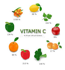 Vitamin C Sources Stock Illustration Illustration Of Green