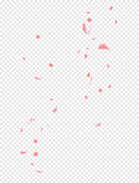 This makes it suitable for many types of projects. Falling Cherry Petals Pink Petal Png Pngegg