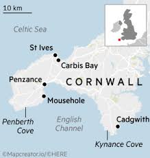 The constituency has been represented in the house of commons of the uk parliament since 2015 by derek thomas, a conservative mp. Current Affairs A Swimming Safari At The Carbis Bay Hotel Financial Times