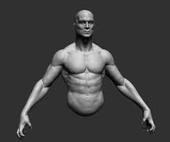 30 eylül 2020 tarihinden itibaren 20 milyondan fazla videomuz var. Male Upper Body 02 3d Model In Anatomy 3dexport