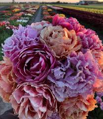 But without the botanical and biological contributions of flowers, entire ecosystems would collapse and most non sea life would quickly perish. Tulip Store Tulip Store