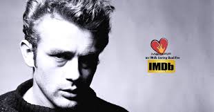 Congrats Filmmakers, 7987 submissions! Covid stopped public screenings so  we can have only 35 filmmakers in theatre! Winners 2021: 1- best horror:  Seeds dir. Skip Shea 2- best short: Mindgait dir. James