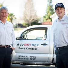Review our client testimonials about our exceptional service. Advantage Pest Control 11 Photos Pest Control Lincoln Ca Phone Number