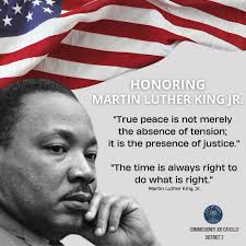 Commissioner Joe Carollo