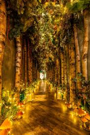 Winter garden tourism winter garden hotels winter garden vacation rentals winter garden vacation packages flights to winter garden winter garden restaurants things to do in winter garden winter garden. Selfridges Iconic Rooftop Restaurant Ideal For Alfresco Dining In London Selfridges Press