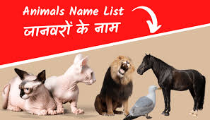 Animals Name In English Hindi À¤ À¤¨à¤µà¤° À¤ À¤¨ À¤® With Picture