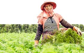 vds活力東勢官方網站 style fashion hipster