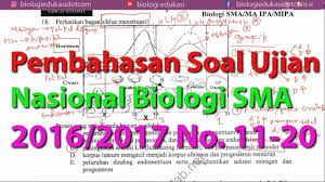 Check spelling or type a new query. Pembahasan Soal Ujian Nasional Biologi Sma 2016 2017 11 20 Youtube