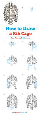 How To Draw A Rib Cage Really Easy Drawing Tutorial