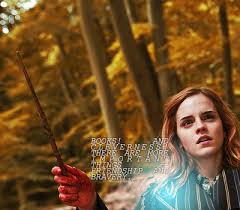 Books And Cleverness There Are More Important Things Friendship And Bravery Hermione Granger Harry Potter Obsession Harry Potter Magic Harry Potter Love