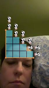 Amanda Puffer (@amandatravispuffe)