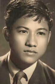 Cuộc đời và sự nghiệp của Chế Linh