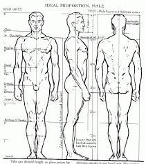 Anatomical drawing of human body. Download 18 Drawing Human Body Sketch Diagram Insurance Car And Travel
