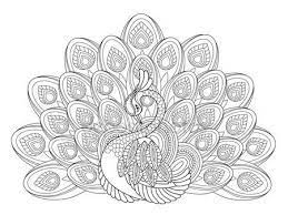 Peacock coloring page for adults image description: Pin On M Pajaros 07