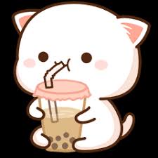 Peach Cat 5 Line Stickers Line Store
