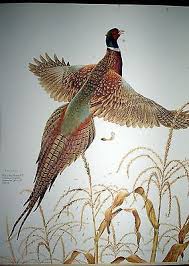 Don Whitlatch signed Litho